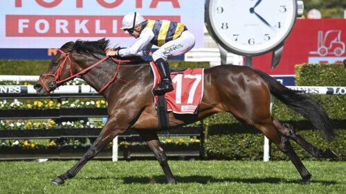 Principessa-Randwick-19.8.23-BP-500x280.