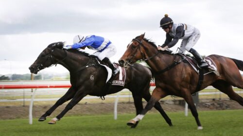 Sacred-Satono-Bonecrusher-finish-Pukekoh