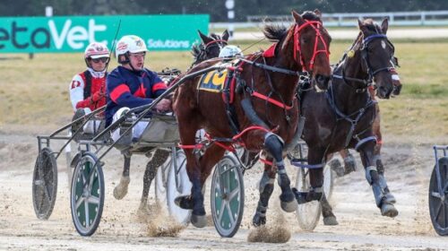 Scott-Iremonger-blog-Motor-Mouth-Rangior