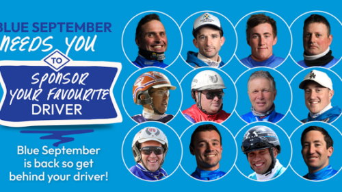 Sponsor-call-new__ResizedImageWzYwMCwzMT