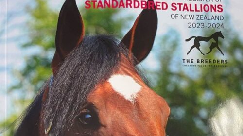 Stallion-register-blog-2023__ResizedImag