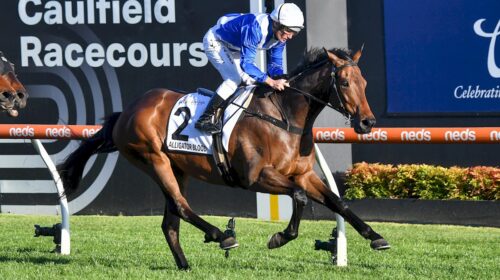 Alligator-Blood-Underwood-Stakes-500x280