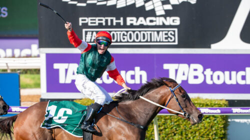 Amelias-Jewel-Northerly-Stakes-500x280.j