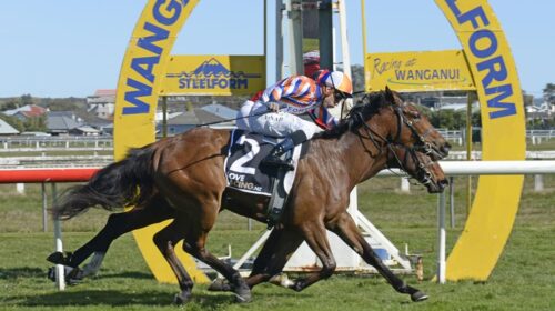 BELLARIX-Star-WANGANUI-2-9-2023-RACE-IMA