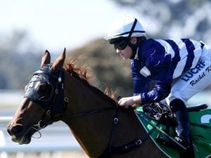 Pandemonium set to reign in Flight Stakes