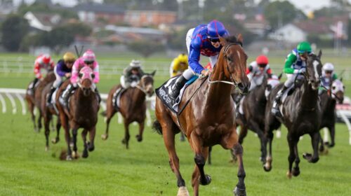 Globe_06-05-2023_WIN_Sandown_7__814-scal