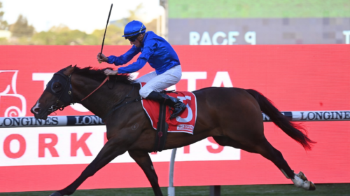 Golden-Mile-Theo-Marks-Stakes-500x280.pn