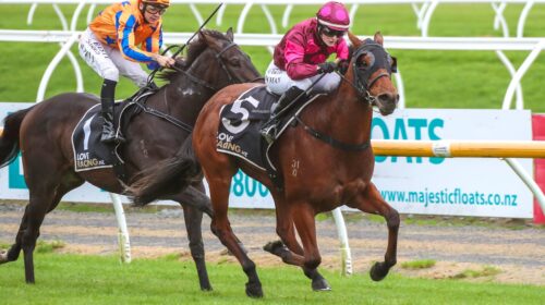 ILLICIT-DREAMS-Riccarton-Champagne-Stake
