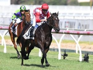 Three Moir Stakes entries for Lindsay Park