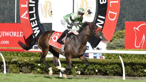 PENNYWEKA-1-NZ-OAKS-18-3-2023-PHOTO-RACE