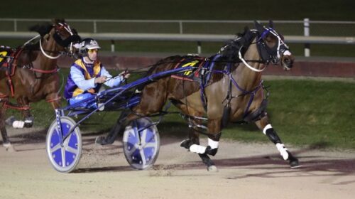 Robbie-Close-Blue-September-pants-Mounga