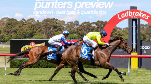 Sandown-Punters-Preview-3-500x280.jpg
