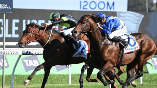 Think-About-It-Premiere-Stakes-500x280.p