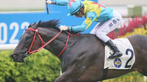 Victor-The-Winner-119-scaled-1-500x280.j