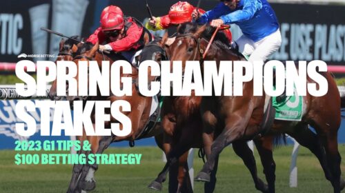 2023-Spring-Champions-Stakes-Preview-500