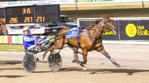 AGs-White-Socks-ballarat-Cup-blog__Resiz