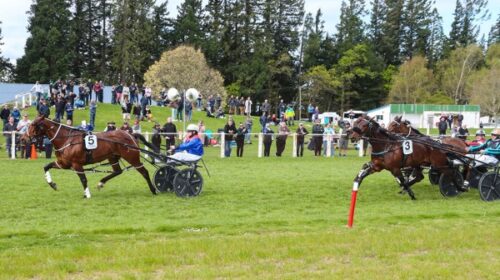 American-Me-Methven-Cup-Sarah-Oreilly-bl