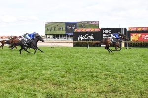 Asfoora proves way too speedy in the Caulfield Sprint