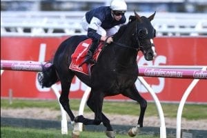 Yucatan impressive in Herbert Power win