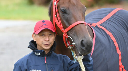 Danny-Shum-Romantic-Warrior-scaled-1-500