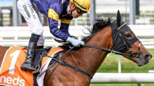 Gallops_Caulfield_4-3_19492753_2029572_2