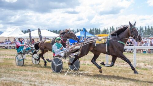 Harrison-Orange-Hurunui-blog-2023-sulky_