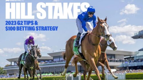 Hill-Stakes-100-500x280.jpg