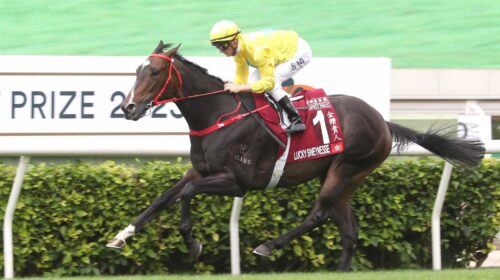 Lucky-Sweynesse-2110-scaled-1-500x280.jp