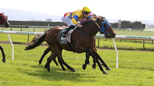 Midnight-Runner-Riverton-April-2021-Moni