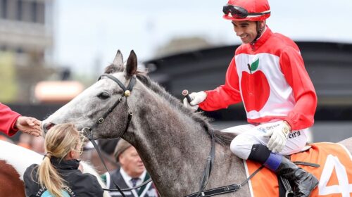 Military-Mission-Herbert-Power-Stakes-50