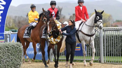 Mustang-Valley-Arrowfield-PLate-PRRI-30_