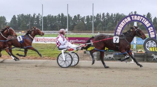 Raklou-blog-image-Helen-Pope-Ashburton-P