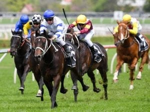 Kaonic win confirms Carbine Stakes start