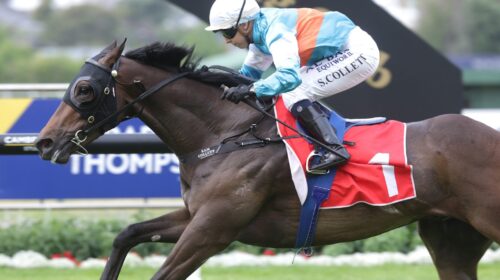 Riodini_Bonecrusher_S._Ellerslie_7.12.19