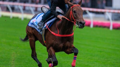 Romantic-Warrior-2610-scaled-1-500x280.j