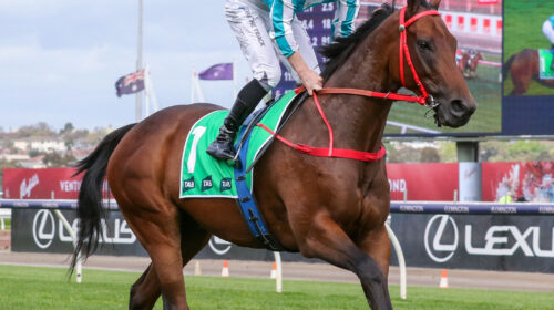 Romantic-Warrior-810-scaled-1-500x280.jp