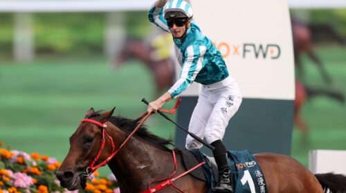 Romantic-Warrior-QEII-Cup-scaled-1-500x2