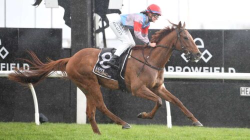 Semper-Magico-Peter-Rubery-RIPN-500x280.