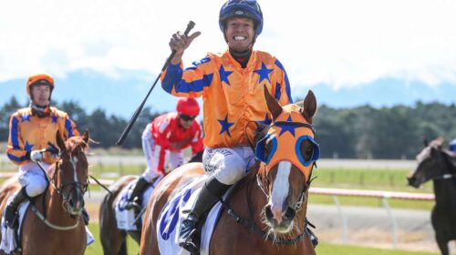 Star-Of-Justice-Darren-Danis-RIS-500x280