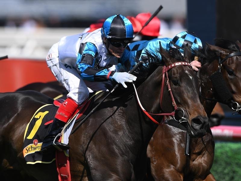 Amphitrite wins the Thousand Guineas.