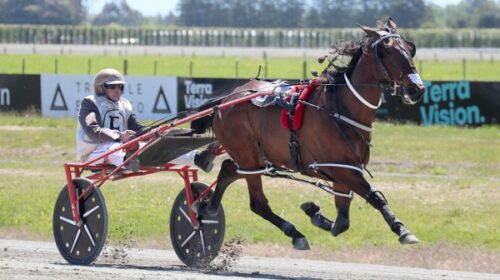 Treacherous-Love-blog-Ashburton-Oct-2023