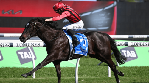 Tropical-Squall-Flight-Stakes-500x280.pn