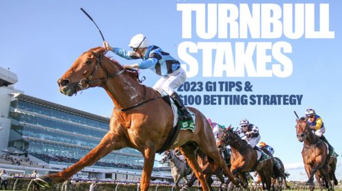 Turnbull-Stakes-100-500x280.jpg