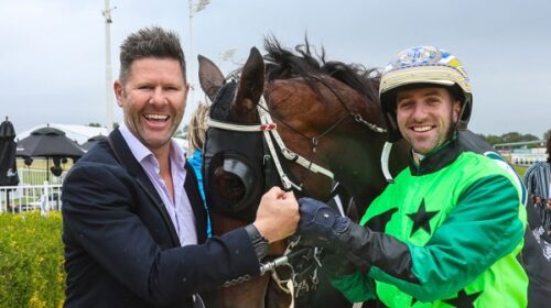 Cam-hart-Steve-Dolan-Our-Shangri-Lana-Ad