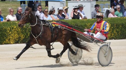 Cody-banner-blog-cup-day-nov-2023__Resiz