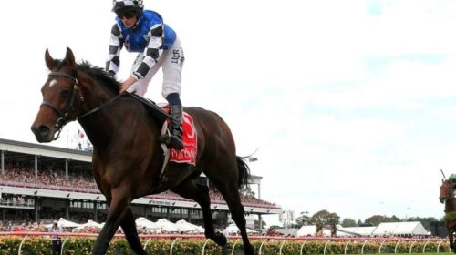 Gallops_Ebor_4-3_16986345_1963363_201908