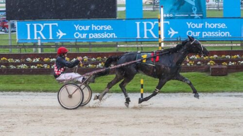 Head-Em-Up-blog-Addington-November-2023_