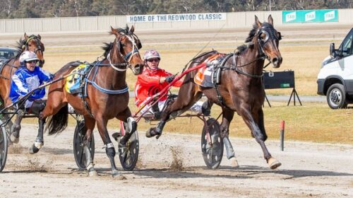 Not-As-Promised-blog-Aussie-Nov-2023-v2_