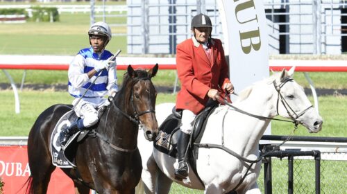 PEARL-OF-ALSACE-2-CUDDLE-STAKES-18-3-202