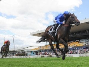 First winner for Brazen Beau at Rosehill
